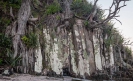Basalt columns on the shoreline on the Mangawhai Cliff Top Walkway