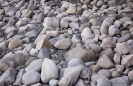 Shoreline rock patterns on the Mangawhai Cliff Top Walkway