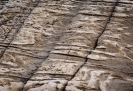 Shoreline rock patterns on the Mangawhai Cliff Top Walkway