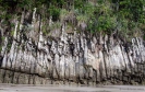 Basalt columns on the shoreline on the Mangawhai Cliff Top Walkway