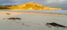 Waikouaiti Beach and Matakana