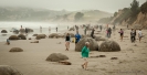Moeraki Boulder Beach