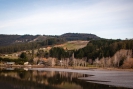 Waitati Estuary