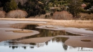 Waitati Estuary