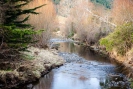 Waitati Stream