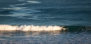 St Kilda beach Dunedin