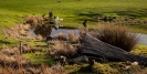 Mt Grand Road Dunedin