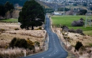 Down Mt Grand Road Dunedin