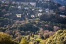 Lower Dalmore across Woodhaugh Gardens, Dunedin