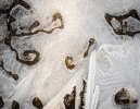 Ice Image 4