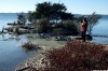 Lake Rotorua thermal