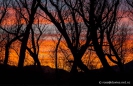Sunrise near Hanmer Springs
