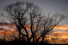 Sunrise near Hanmer Springs