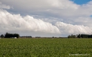 Southerly front approaching Cust