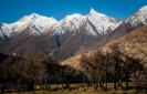 West Matukituki Valley