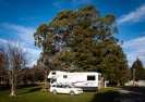 Mt Somers Domain camp