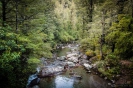 Bowyers Stream Mt Somers