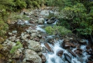 Bowyers Stream Mt Somers