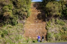 Cardiff road cutting South Taranaki