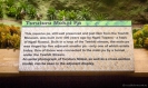Tawhiti Museum diorama sign