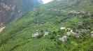 Walnut Garden Tiger Leaping Gorge