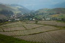 En route to Shangrila