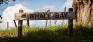 The way to Whale Bay