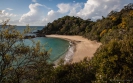 Whale Bay Tutukaka Coast