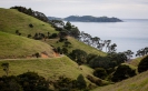 North from Whananaki Walkway