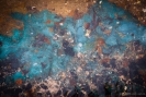 Abstract photo Whananaki Estuary