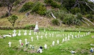 South Whananaki cemetery