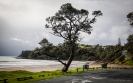 Stormy morning at Sandy Bay