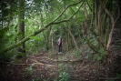 Wyn in the enchanted forest at Waihi Beach