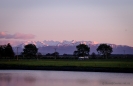 Dawn at Ealing