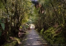 Old tram line near Lake Mahinapau