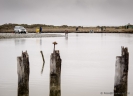 Old wharf piles and whitebaiters at Okarito Lagoon