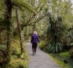 Ship Creek walk