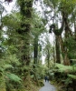 Ship Creek walk