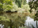 Ship Creek