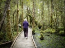 Ship Creek walk - some of the swampy stuff