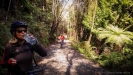Nice bush sections down the Kawhaka Valley