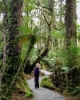 Ship Creek walk