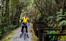 The final water race section to Lake Kaniere