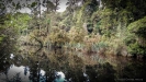 Ship Creek