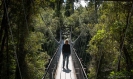 Hokitika Gorge