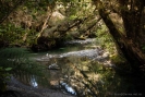 Stream at Pleasant Flat