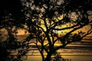 Mangawhai sunrise