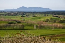 Rural view near Te Aria Point
