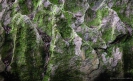 Waipu Caves Track rock patterns