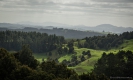 View from the top of the Waipu Caves Track